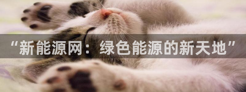 门徒娱乐官方网站