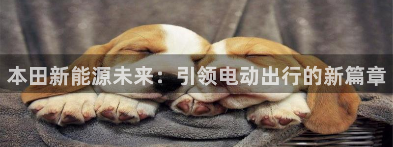 娱乐门徒电影截图