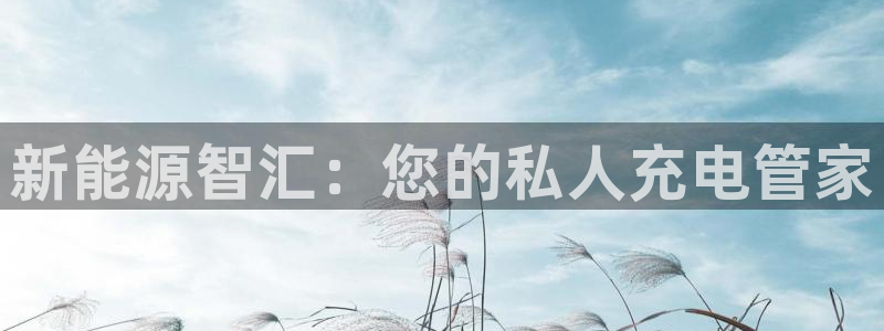 门徒娱乐平台代理公司：新能源智汇：您的私