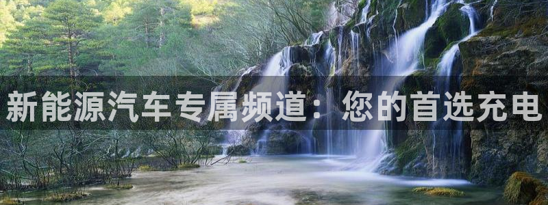 门徒娱乐平台：新能源汽车专属频道：您的首