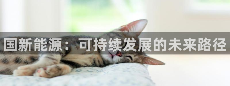 门徒娱乐圈主管报道