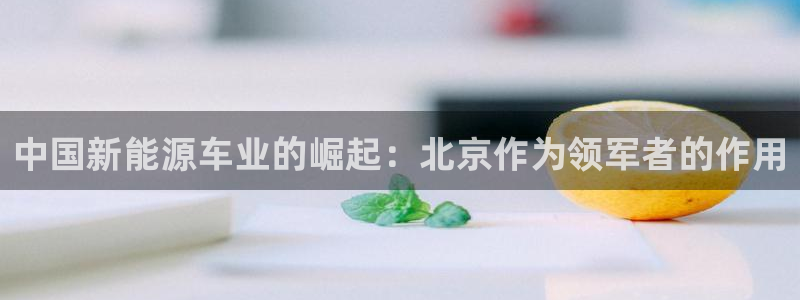 门徒娱乐官方地址上海：中国新能源车业的崛