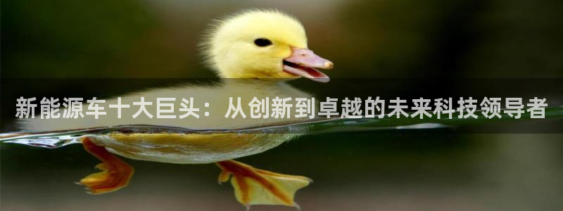 门徒娱乐山六七五一38：新能源车十大巨头