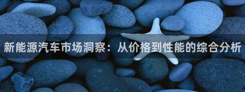 门徒娱乐 圈主管：新能源汽车市场洞察：从