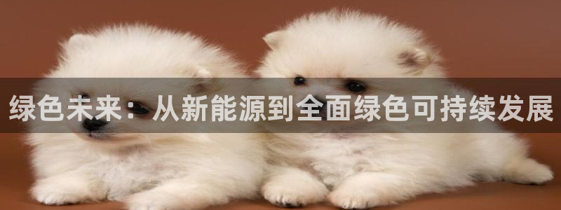 门徒娱乐平台网址大全