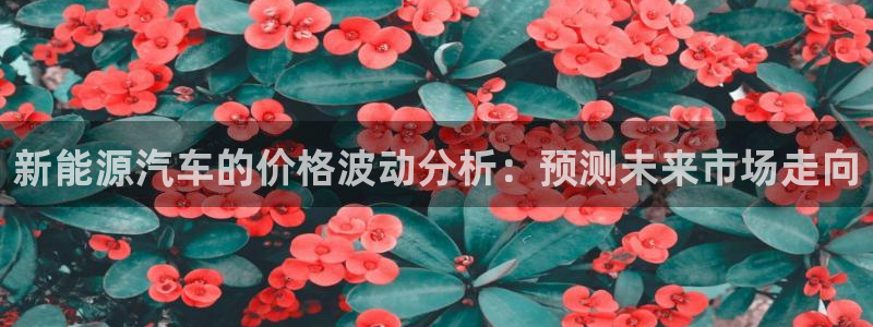 娱乐门徒奇书txt