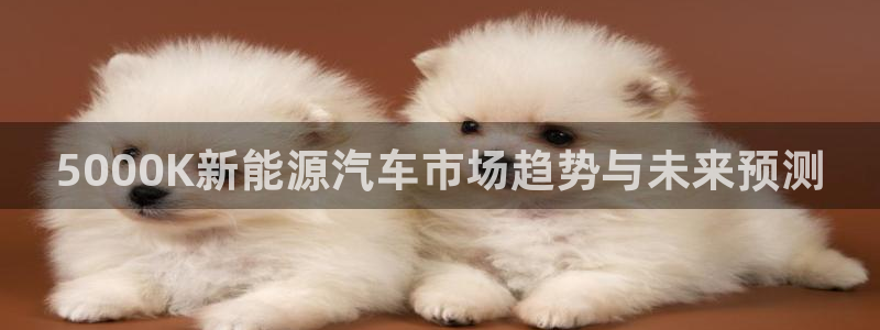 蓝狮门徒娱乐