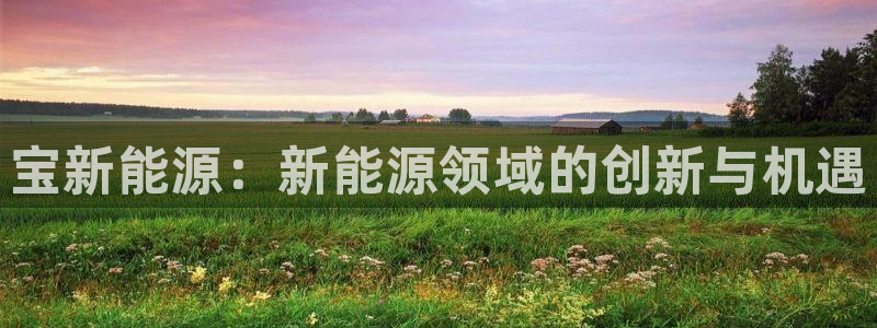 娱乐门徒内容：宝新能源：新能源领域的创新
