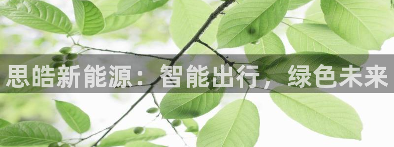 娱乐门徒是什么意思：思皓新能源：智能出行