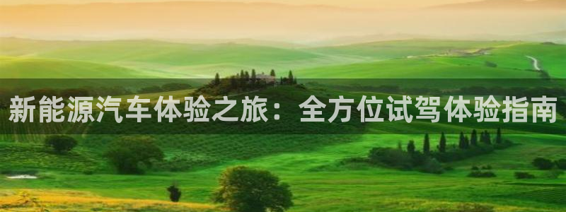 门徒娱乐真的能赚钱吗：新能源汽车体验之旅