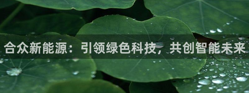 门徒娱乐提款一直处理中:合众新能源:引领绿色科技,共创智能未