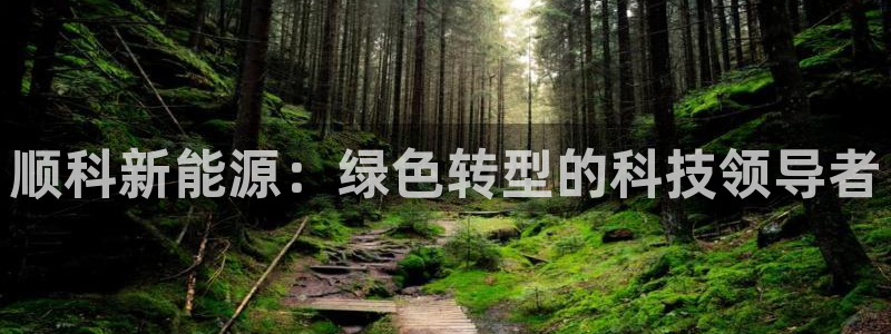 门徒娱乐总代理怎么样呀:顺科新能源:绿色转型的科技领导者