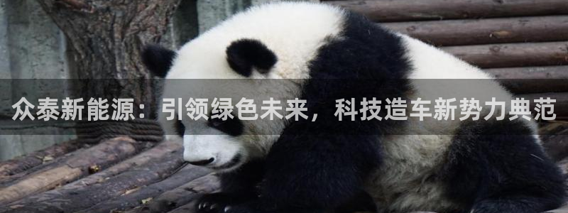 门徒娱乐怎么挂机刷钱:众泰新能源:引领绿色未来,科技造车新势