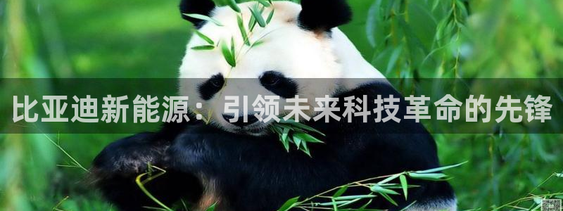 门徒娱乐平台58八四七:比亚迪新能源:引领未来科技革命的先锋