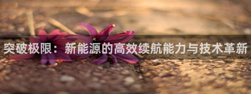 门徒娱乐网页版下载安装:突破极限:新能源的高效续航能力与技术