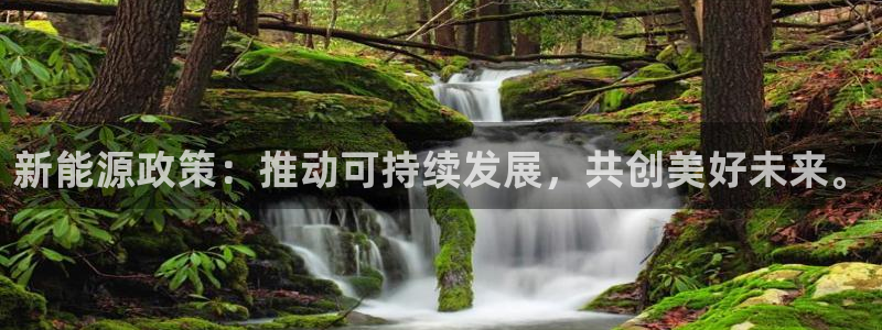 拉菲门徒娱乐:新能源政策:推动可持续发展,共创美好未来。