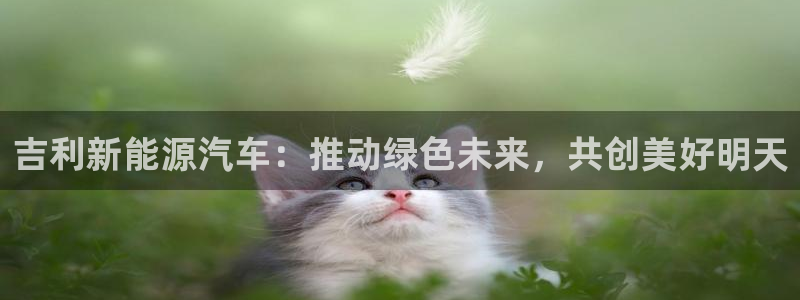 门徒娱乐右原把判官333OO:吉利新能源汽车:推动绿色未来,