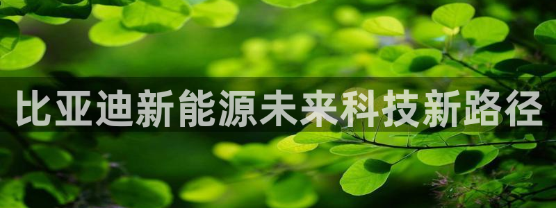 门徒娱乐平台代理商:比亚迪新能源未来科技新路径