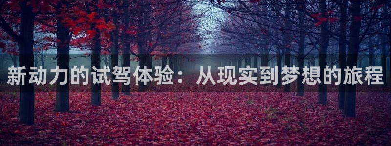 东莞门徒娱乐会所地址:新动力的试驾体验:从现实到梦想的旅程