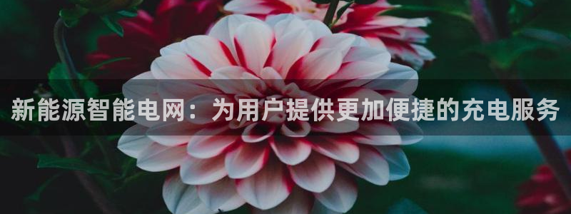 门徒娱乐网站有哪些公司：新能源智能电网：